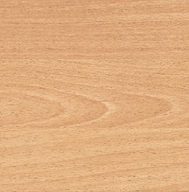 natural beechwood}
