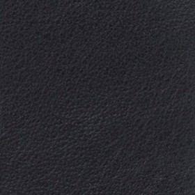 Anilinleder schwarz}