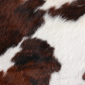 Cowhide brown - white }